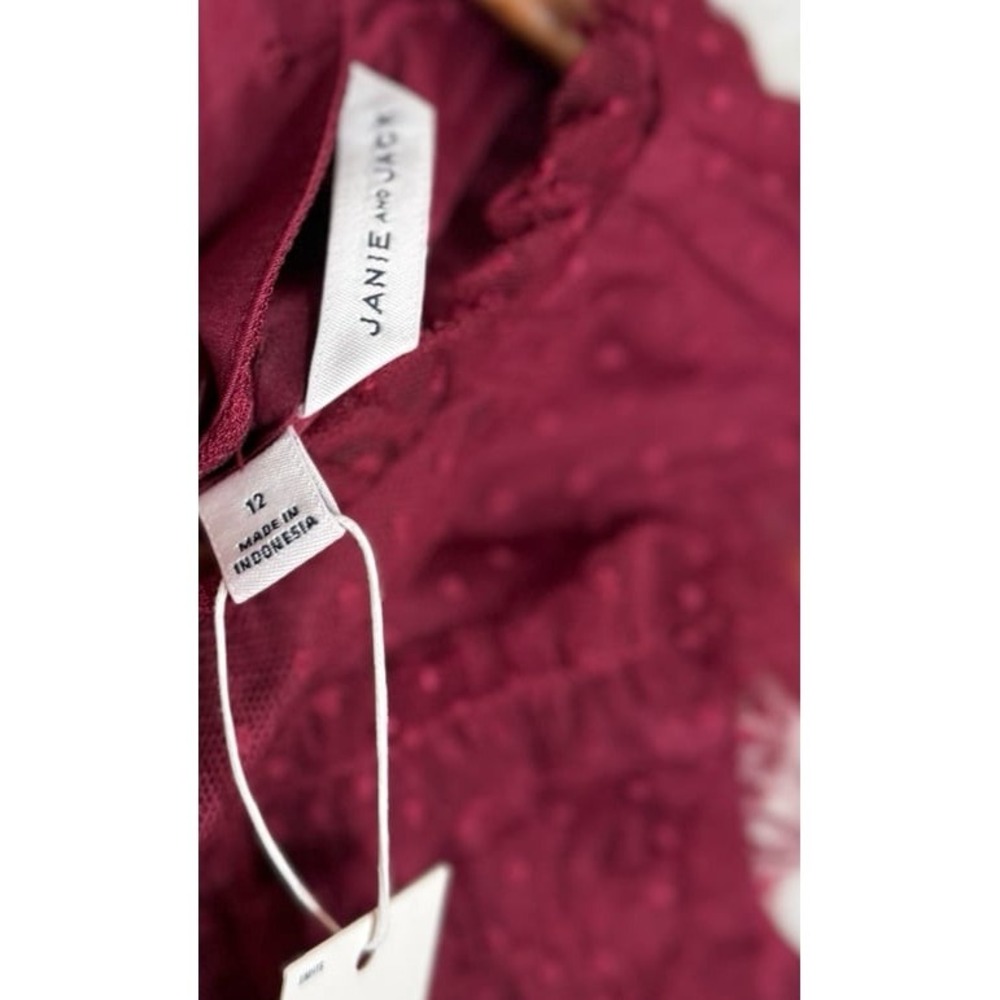 Janie and Jack Deep Burgundy Dot Tull Mesh Dress Ruffle Hem Girls Sz 12 NWT - Picture 2 of 10